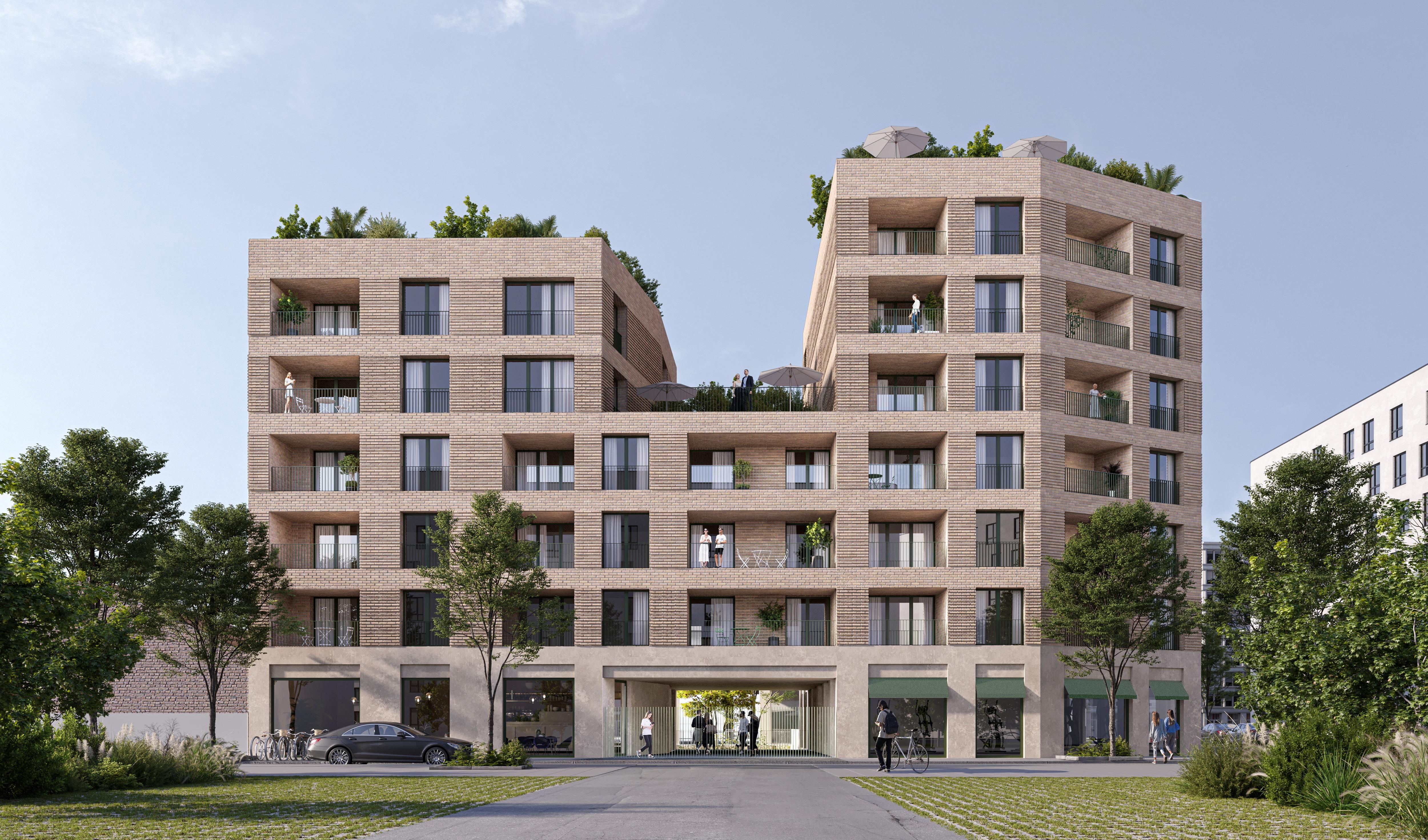 Littorelle - Lille