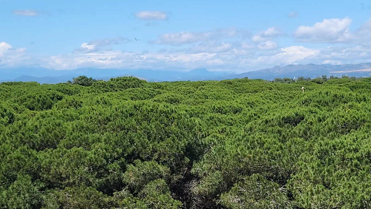 Le Bahia à Le Barcarès