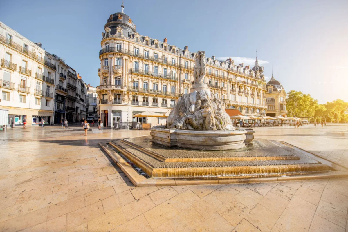 Montpellier - chauvet à Montpellier