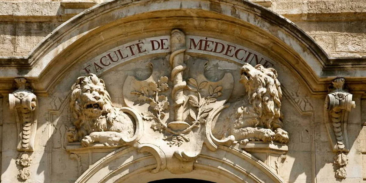 Montpellier - chauvet à Montpellier
