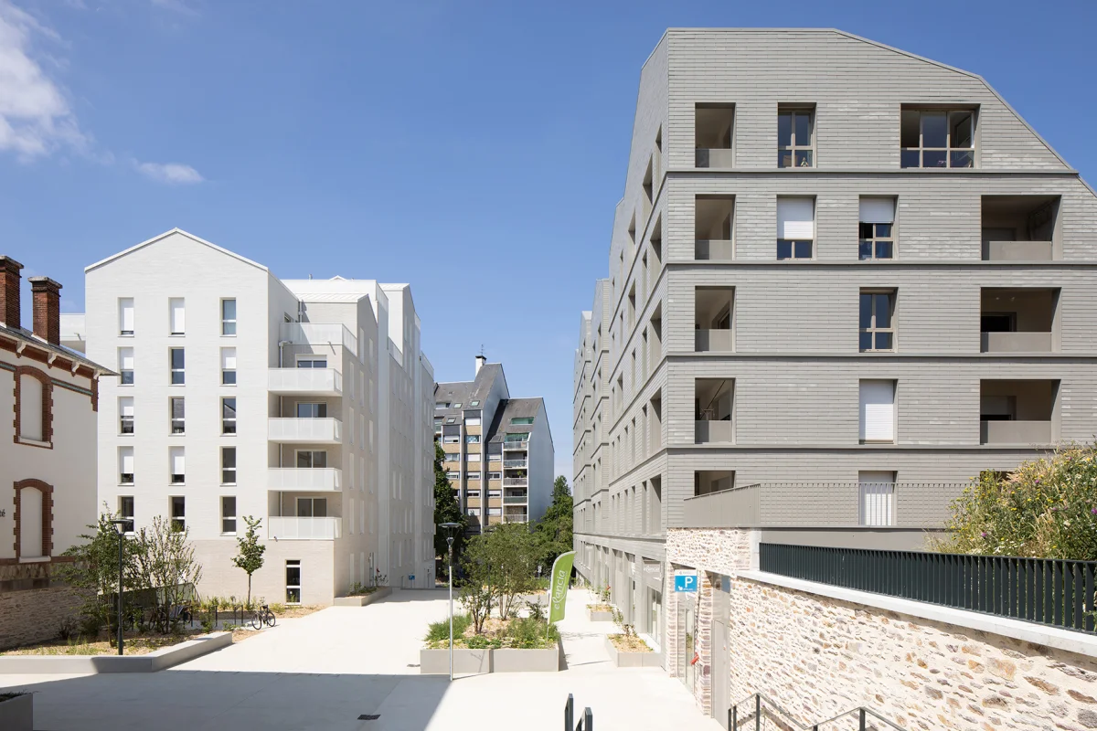 Sequoia à Rennes