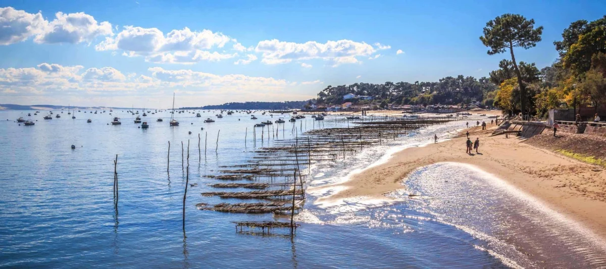 Lege-cap-ferret - presqu'île horizon ii à Lège-Cap-Ferret